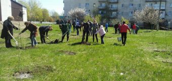 Жители Тельмановского района приняли активное участие в общереспубликанском субботнике по благоустройству территории