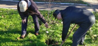 Работники МБУ “Тельмановский РДК” приняли участие в акции “Посади дерево-подари планете жизнь!”