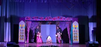 В МБУ “Тельмановский РДК” прошел музыкальный фестиваль спектакль-феерия “Спящая красавица”