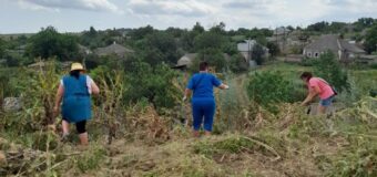 В Тельмановском районе продолжается борьба с сорной и карантинной растительностью