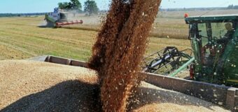О ходе уборки ранних зерновых зерновых культур в хозяйствах Тельмановского района